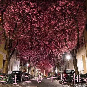 荫道添到高潮免费视频
